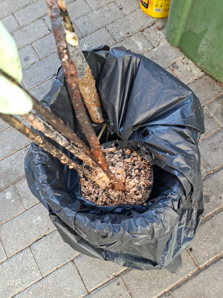 החלפת פלאנג' לדוד אמקור וניקוי אבנית